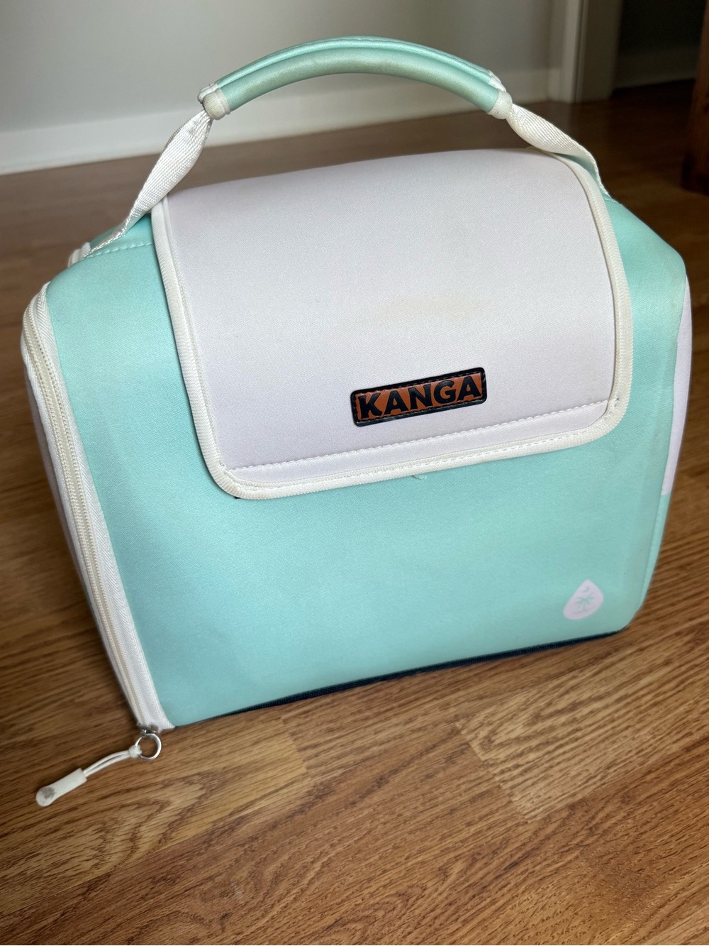 Kanga Mint & White Women's Carry Bag